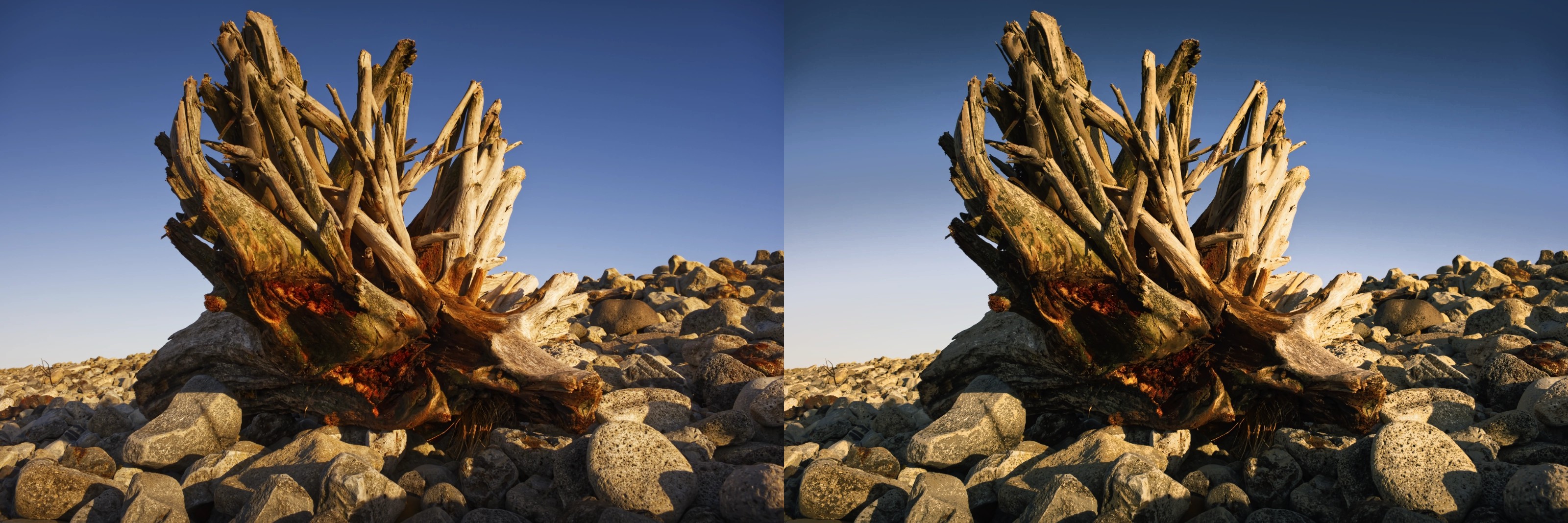 South Gare driftwood — original left, graded right
